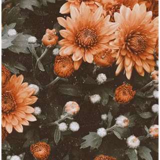 Sun summer wallpaper