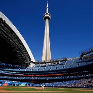 Baseball 2022 wallpaper