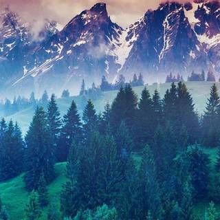 Amazing nature mobile wallpaper