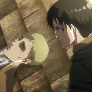 Commander Erwin wallpaper