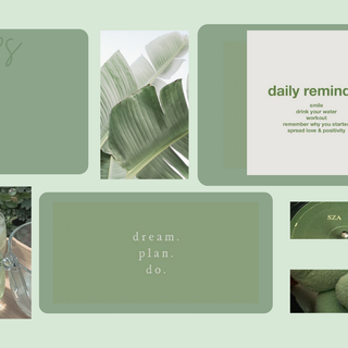 Aesthetic sage computer wallpaper