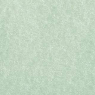 Aesthetic sage computer wallpaper