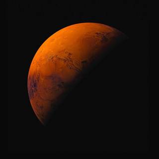 Orange and black mobile wallpaper