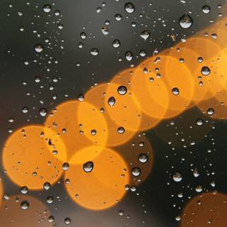 Orange and black mobile wallpaper