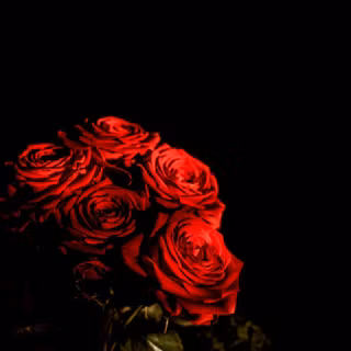 iPhone 4k flower wallpaper