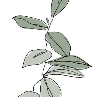 Plant drawing wallpaper