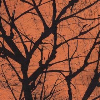 Scary trees wallpaper