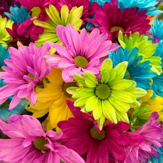 Flower bunch wallpaper