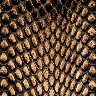 Snake texture wallpaper