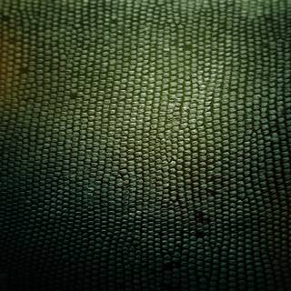 Snake texture wallpaper