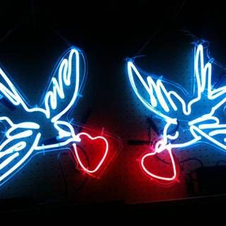 Neon bird wallpaper
