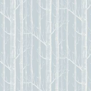 Powder blue wallpaper