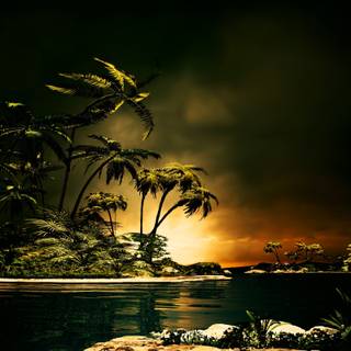 Tropical night wallpaper