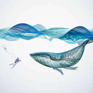 Cute whale wallpaper