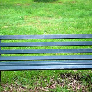 Garden bench wallpaper