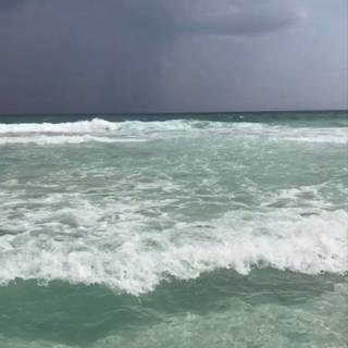 Sage green summer wallpaper