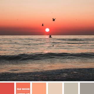 Colour palette wallpaper
