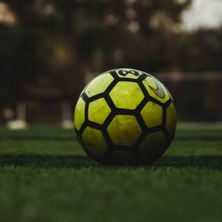 EA SPORTS 2022 wallpaper