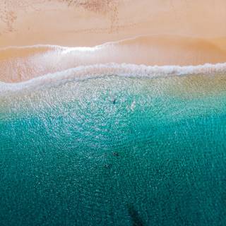 Summer beach aerial view wallpaper