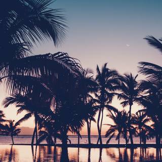 Anime summer iPhone wallpaper