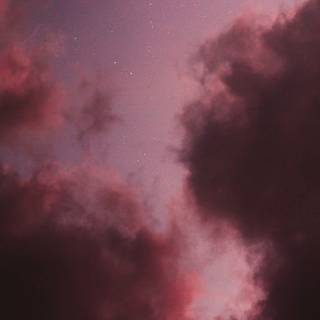 Pink night wallpaper