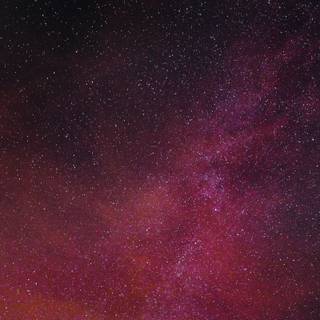 Pink night wallpaper