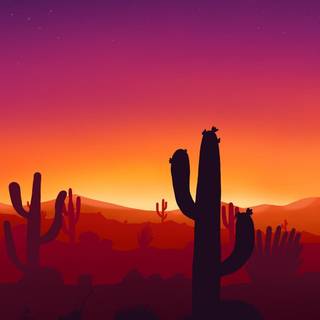 Cactus sunset iPhone wallpaper