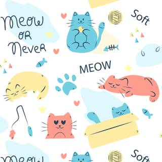 Cat lover wallpaper