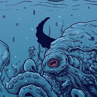 Octopus phone wallpaper