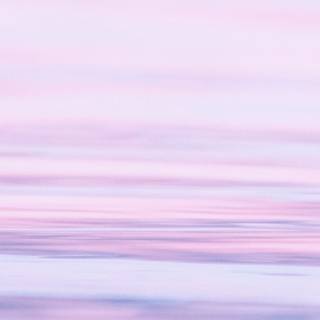 Lilac iPhone wallpaper