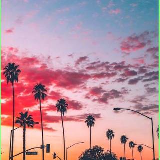 Pink 4k iPhone wallpaper