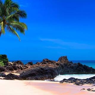 Makena Cove Maui Hawaii wallpaper