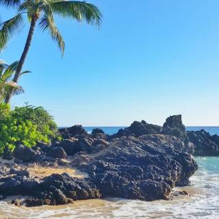 Makena Cove Maui Hawaii wallpaper