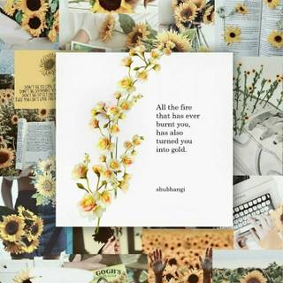 Sunflower collage wallpaper