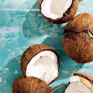 Coconut summer iPhone wallpaper