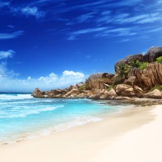 2023 beach wallpaper