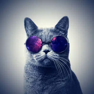 Swag cat wallpaper