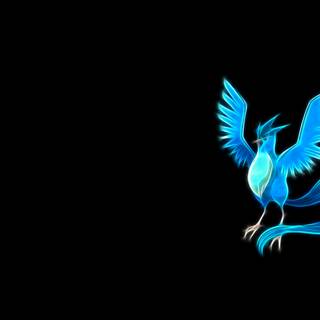 Bird Pokémon wallpaper