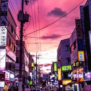 Aesthetic Seoul iPhone 11 wallpaper