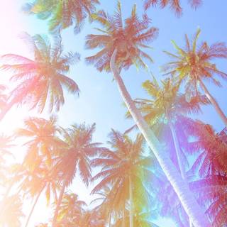 iPhone summer wallpaper