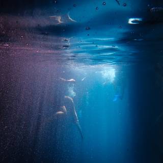 Scary underwater wallpaper