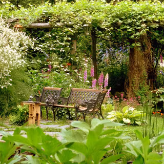 HD summer garden wallpaper