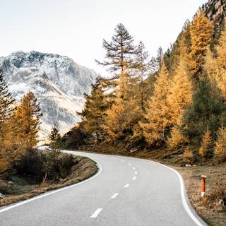 Winding road wallpaper