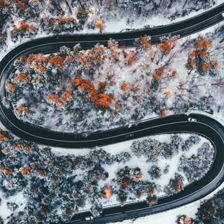 Winding road wallpaper