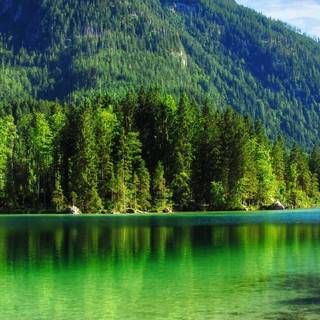 Summer lake iPhone wallpaper