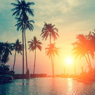 Sunset 4k phone wallpaper