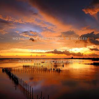 Aquaculture wallpaper