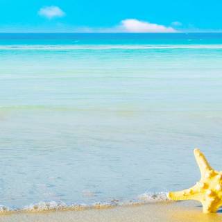 1080x1920 summer outfit wallpaper