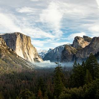 Nature park wallpaper