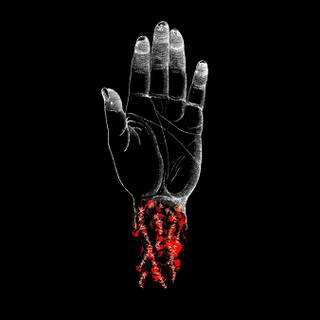 Hardcore punk wallpaper